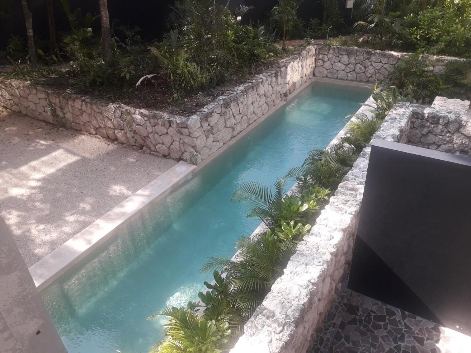 New Luxury Suite Con Plunge Pool Privado ตูลุม ภายนอก รูปภาพ